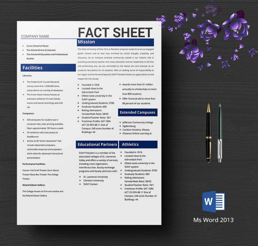 10+ Free Fact Sheet Templates – Survey, Campaign | Free Within Fact Sheet Template Word
