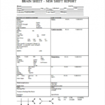 13+ Free Shift Report Templates | Ms Word &amp; Pdf Formats pertaining to Nursing Shift Report Template