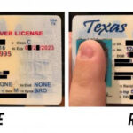 19 Report Texas Id Card Template Psd File For Texas Id Card Pertaining To Texas Id Card Template