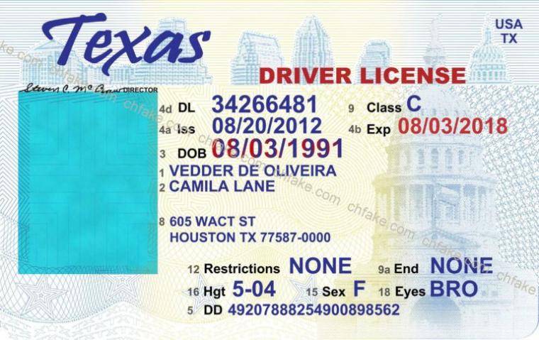 28 Drivers License Template Free | Robertbathurst Regarding Intended For Blank Drivers License Template