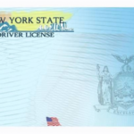 Blank Drivers License Template (1) – Templates Example Within Blank Drivers License Template
