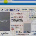 California Id Template Download Luxury Of California Drivers In Blank Drivers License Template