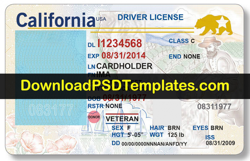 Drivers License Clipart Blank, Drivers License Blank Regarding Blank Drivers License Template