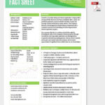 Fact Sheet Template 15 Free Word Pdf Documents Download Pertaining To Fact Sheet Template Word