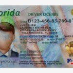 Florida Driver License Psd Template – Florida Drivers Regarding Blank Drivers License Template