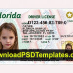 Florida Driver License Psd Template New | Id Card Template regarding Florida Id Card Template