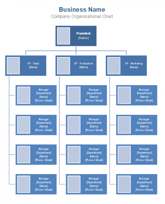 Free Organizational Chart Template – Company Organization Chart Regarding Word Org Chart Template
