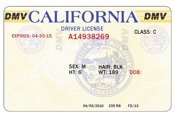 blank drivers license template free