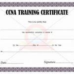 Nsc Cpr Course Certificate Template Awesome Ccna Training In Cpr Card Template