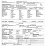 Patient Care Report Template (1) - Templates Example intended for Patient Care Report Template