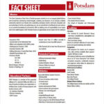 Pdf, Doc, Apple Pages, Google Docs | Free & Premium Intended For Fact Sheet Template Word