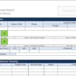 Project Status Report Template For Executive Summary Project Status Report Template