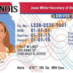 This Is Illinois (Usa State) Drivers License Psd (Photoshop throughout 89 Blank Drivers License Template