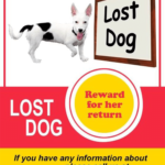 10+ Best Lost Cat/Dog Flyer & Poster Templates (Word  PSD) With Regard To Found Dog Flyer Template