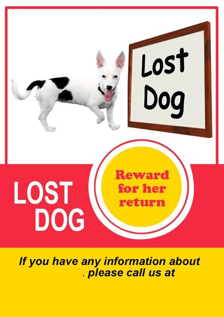 10+ Best Lost Cat/Dog Flyer & Poster Templates (Word  PSD) With Regard To Found Dog Flyer Template Regarding Found Dog Flyer Template