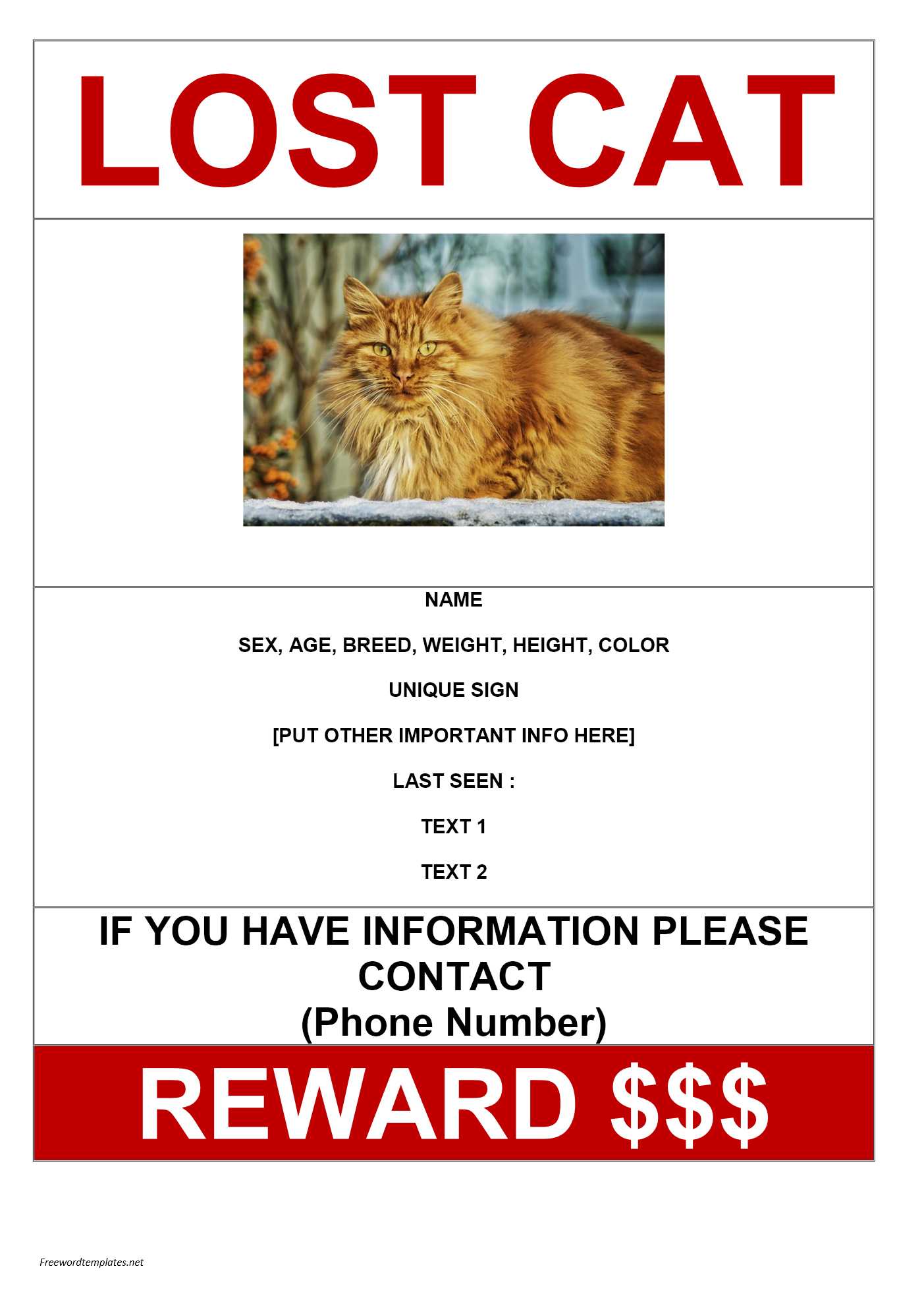 lost-cat-flyer-template-free