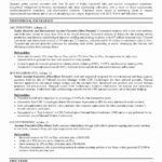 Account Executive Sample Resume Examples 10 – Lebenslauf Vorlage With Regard To National Account Manager Job Description Template