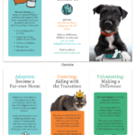 Animal Rescue Tri Fold Brochure Intended For Adopt A Pet Flyer Template