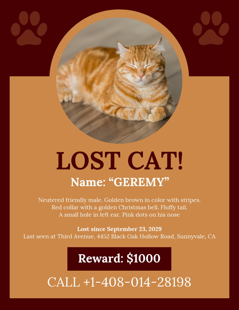 Brown Missing Cat Poster Template Throughout Lost Cat Template Flyer In Lost Cat Template Flyer