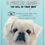 Cloe Dog Adoption Posters – Vtwctr Regarding Adopt A Pet Flyer Template