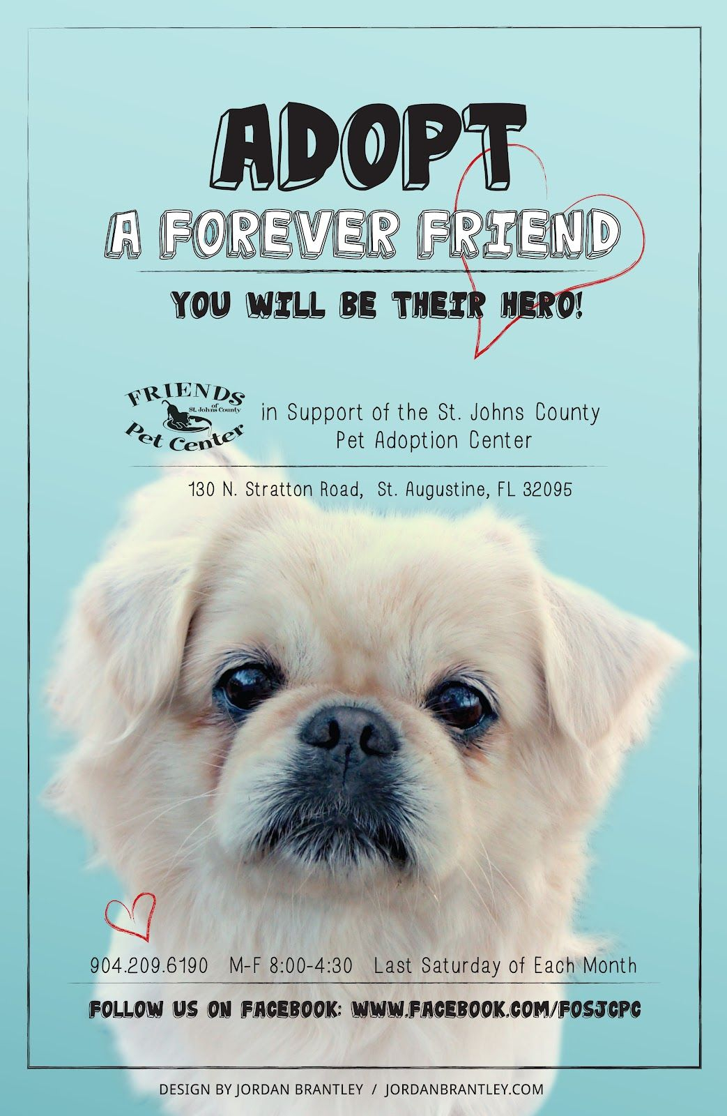 Cloe Dog Adoption Posters - Vtwctr Regarding Adopt A Pet Flyer Template Regarding Adopt A Pet Flyer Template