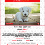 CREATE A FREE HIGH QUALITY LOST PET FLYER TO POST AROUND YOUR  Inside Found Dog Flyer Template