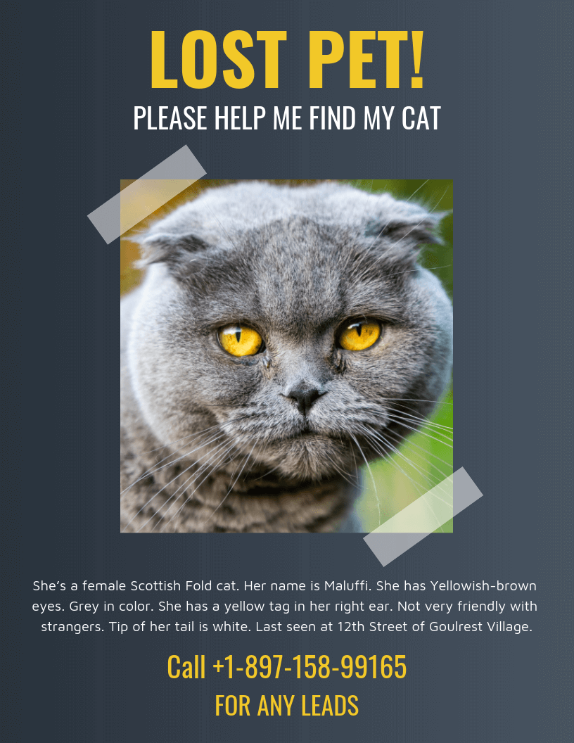 Lost Cat Template Flyer