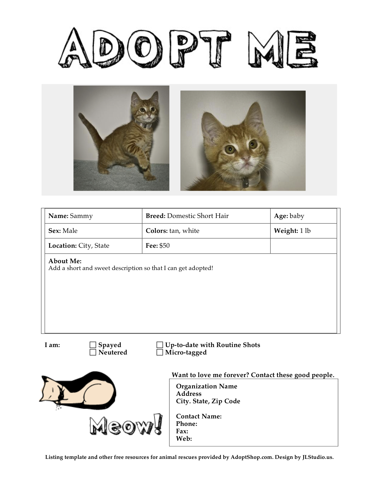Design  For Adopt A Pet Flyer Template
