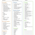 Free Travel Checklist Template In PDF, Word, Excel, Google Docs For Business Travel Checklist Template