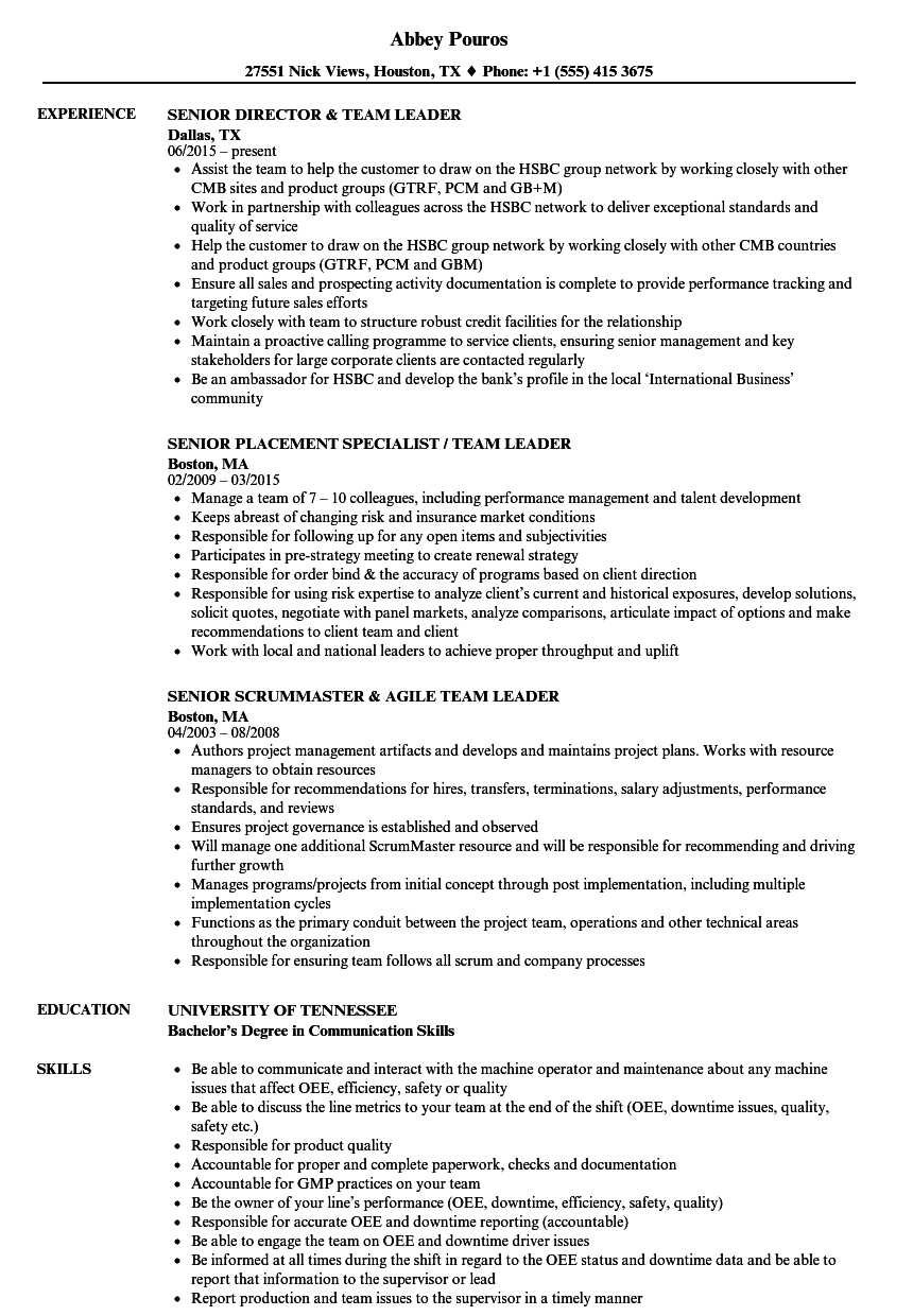 Customer Service Team Leader Job Description For Resume