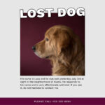 How To Design Posters For Your Missing Pets Inside Found Dog Flyer Template