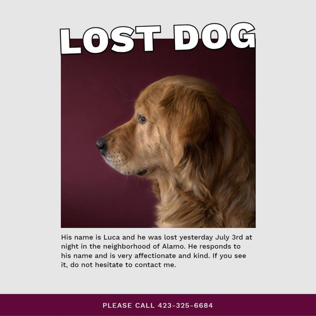 How to design posters for your missing pets Inside Found Dog Flyer Template Intended For Found Dog Flyer Template