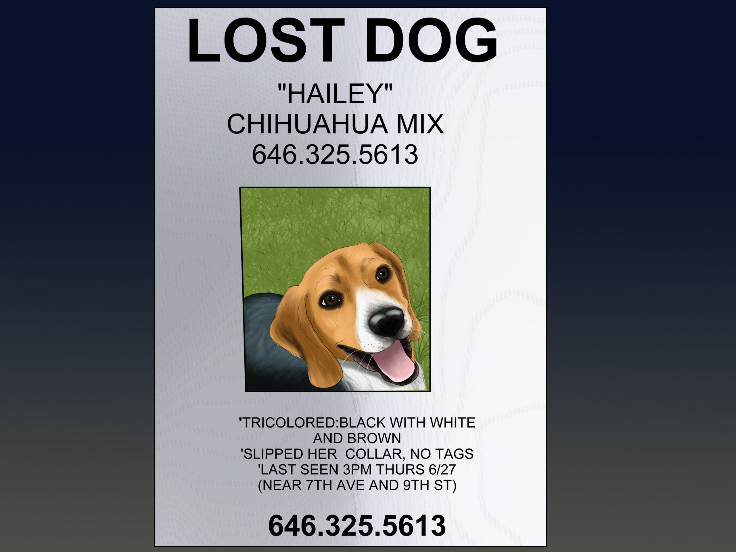 How to Make an Effective Missing Pet Poster (with Pictures) With Found Dog Flyer Template Within Found Dog Flyer Template