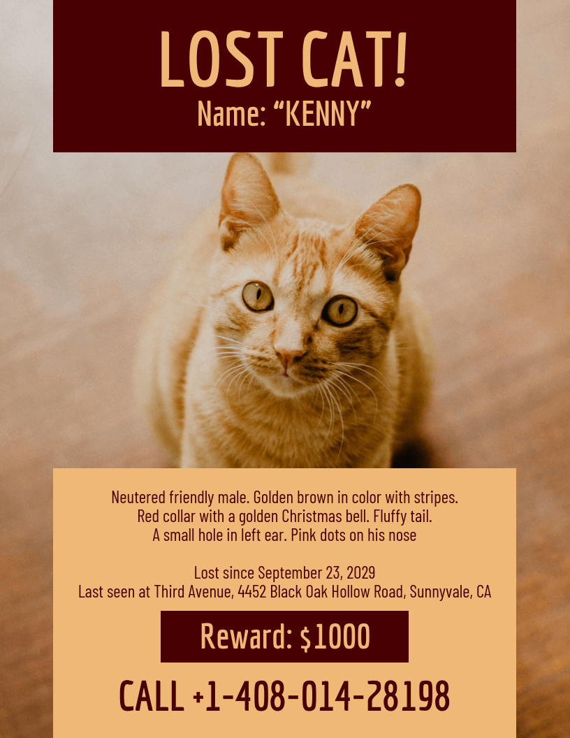 Lost Cat Template Flyer