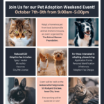 Nonprofit Animal Pet Rescue Adoption Event Flyer Template Throughout Adopt A Pet Flyer Template