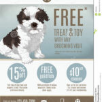 Pet Store Flyer Template Stock Vector