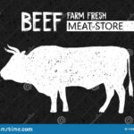 Retro Bbq Poster Template Fresh Beef Steak Stock Illustrations  Regarding Bull Roast Flyer Template