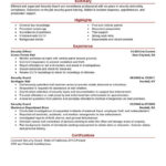 Security Agent Cv Examples June 10 Intended For Security Officer Job Description Template