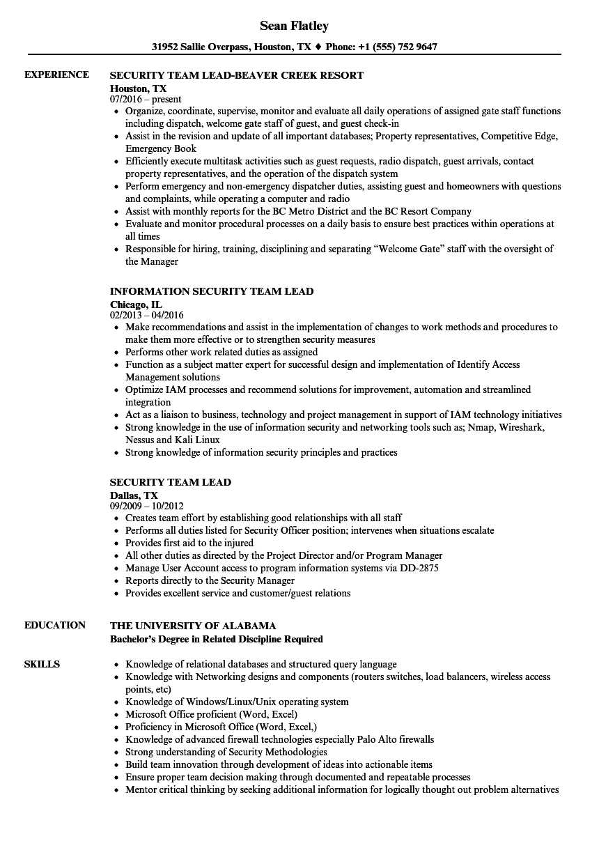 Security Team Lead Resume Samples  Velvet Jobs Inside Team Leader Job Description Template