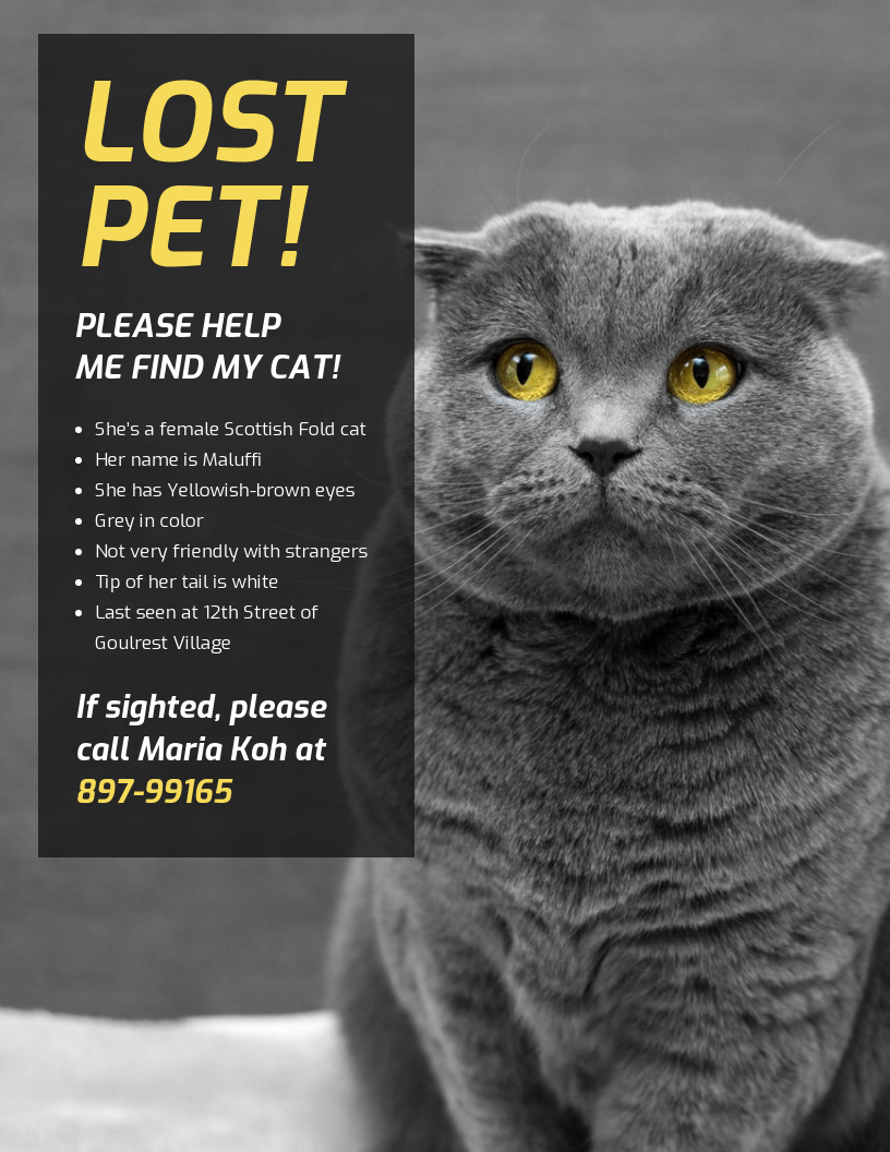 lost-cat-template-flyer