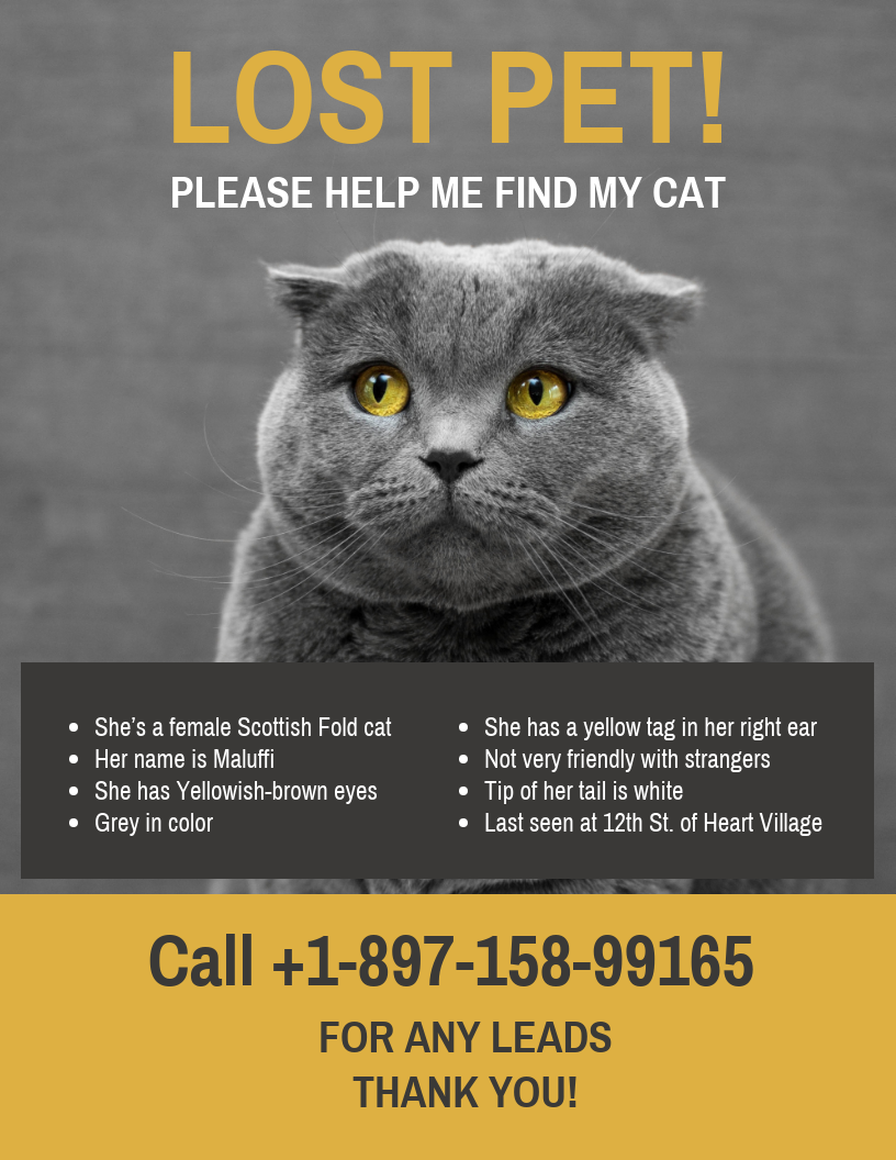 Yellow Black Missing Cat Poster Template Regarding Lost Cat Template Flyer With Lost Cat Template Flyer
