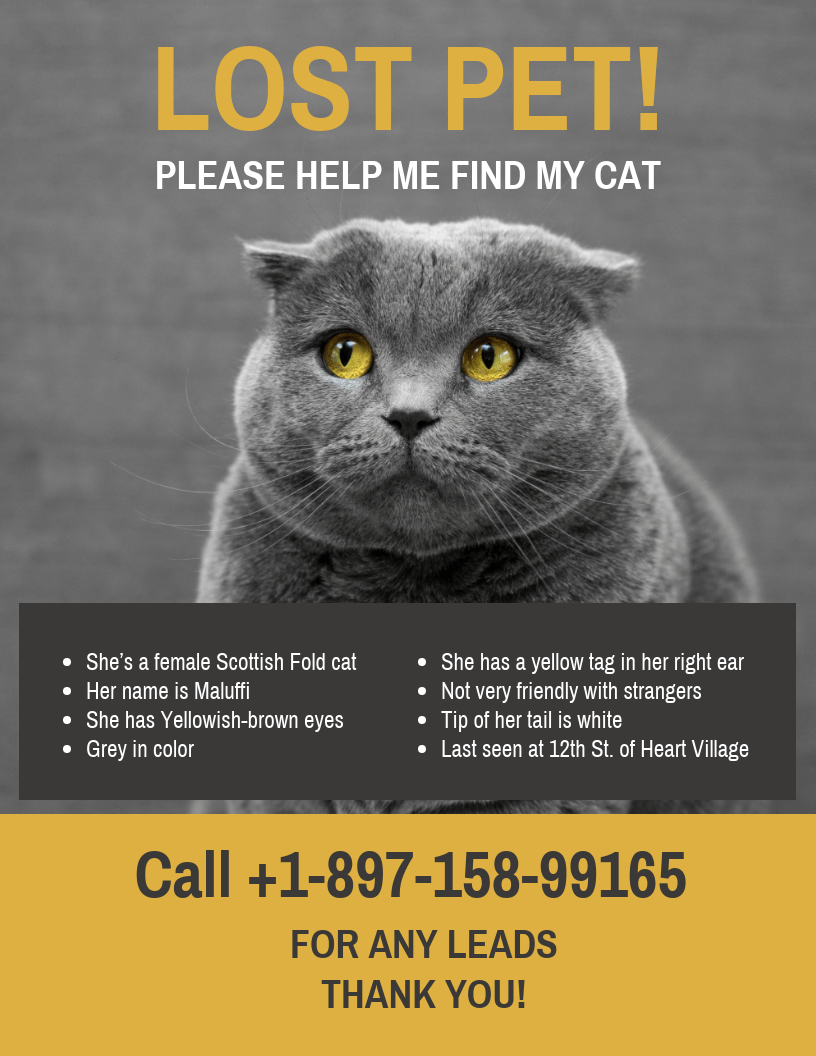 lost-cat-template-flyer